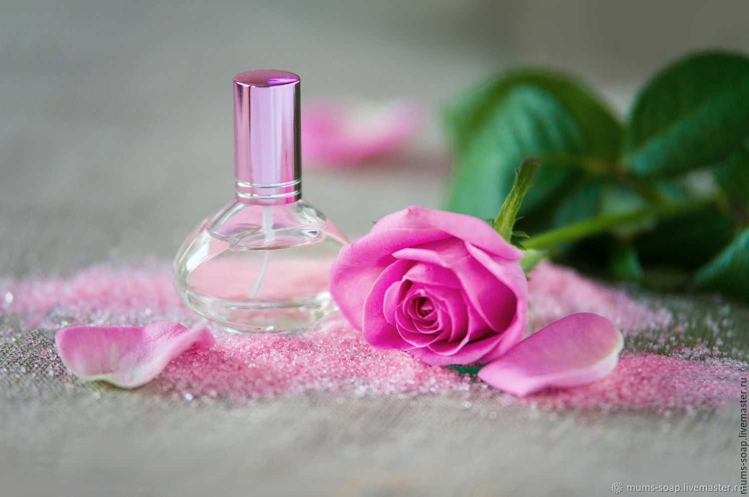 Evidence yves rocher (эвиденс ив роше): парфюмерная вода и новые духи, как явность comme une - описание аромата и отзывы о парфюме для женщин