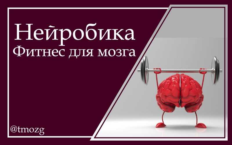 Нейробика – 7 лучших упражнений для мозга и 9 простых способов развить нейропластичность мозга