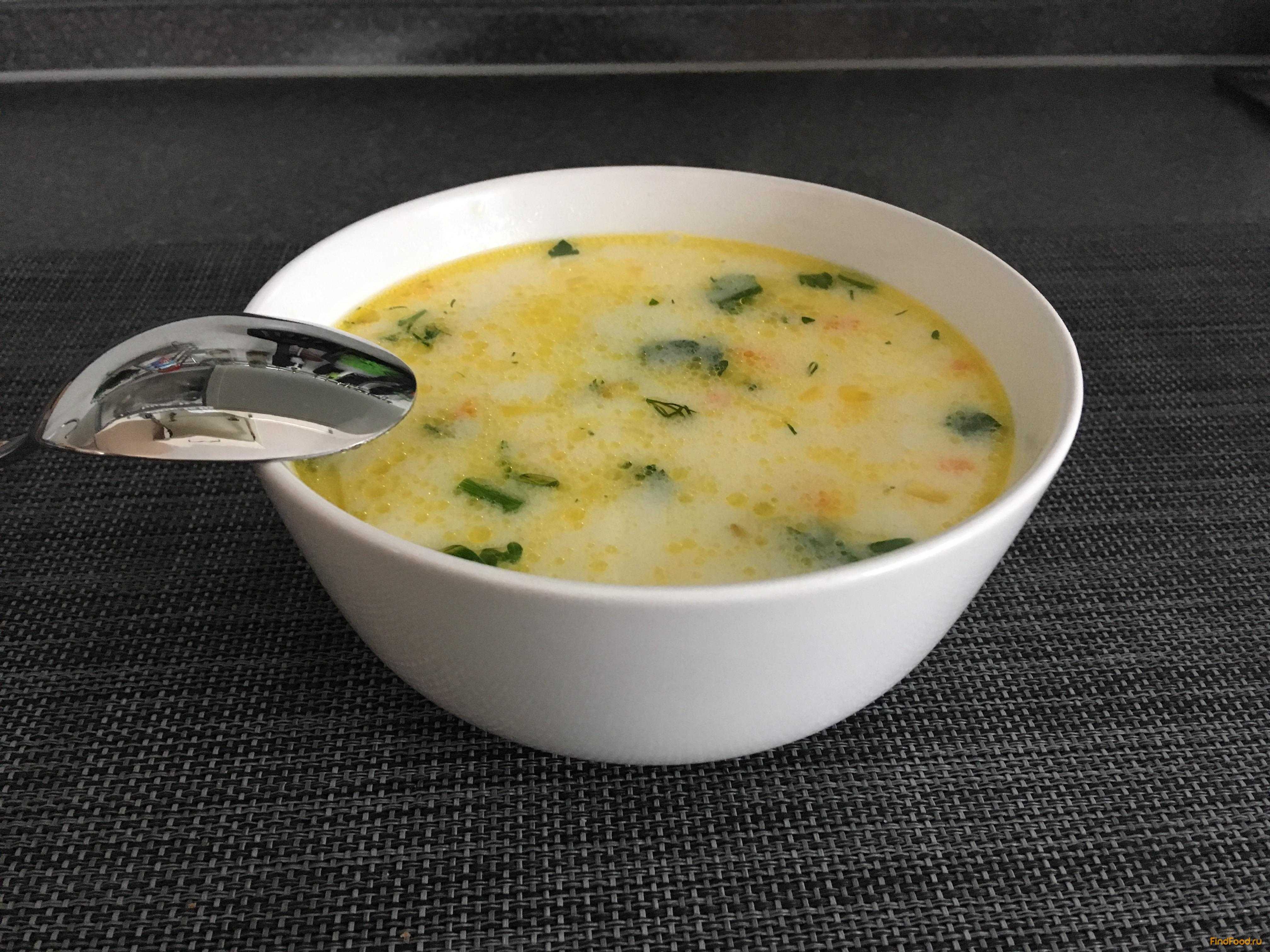 Диетический суп-пюре из брокколи?: рецепты для похудения в [2018] - постный, в виде крема, с семгой, сыром | диеты и рецепты