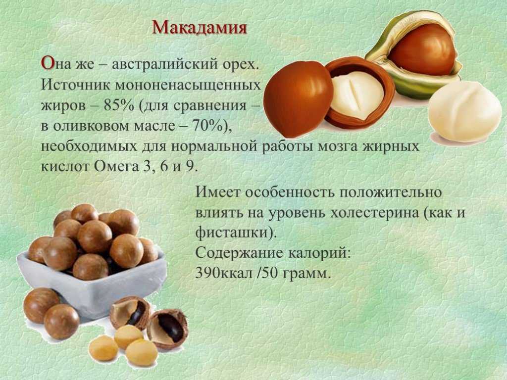 Чем полезен орех макадамия