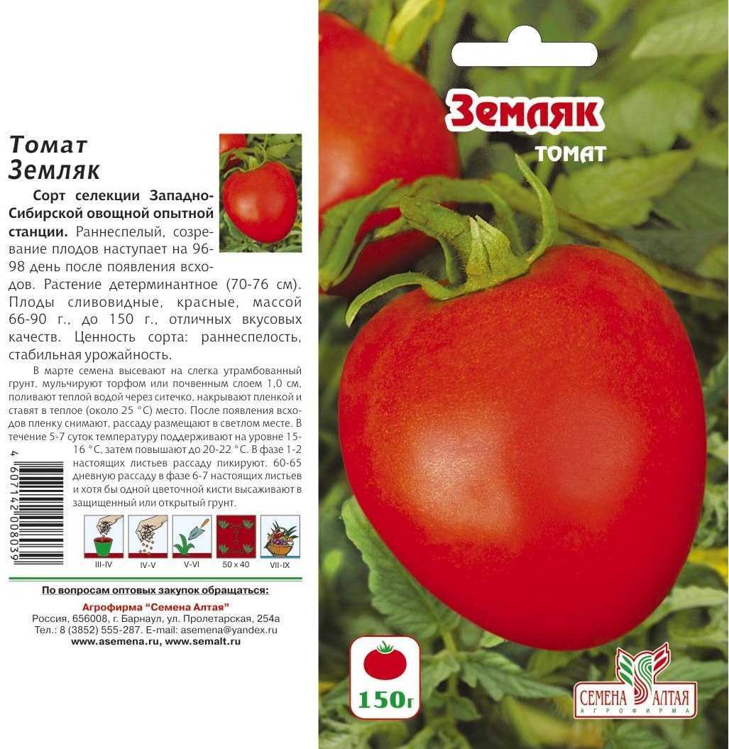 Как вырастить крупные помидоры? 5 секретов от опытных дачников