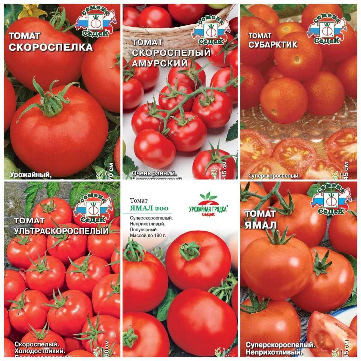 Обзор сортов или видов помидоров для теплицы, огорода и подоконника