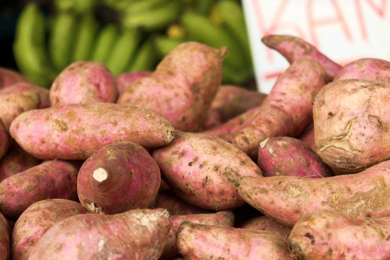 Удобрение картофеля: правила и сроки подкормок