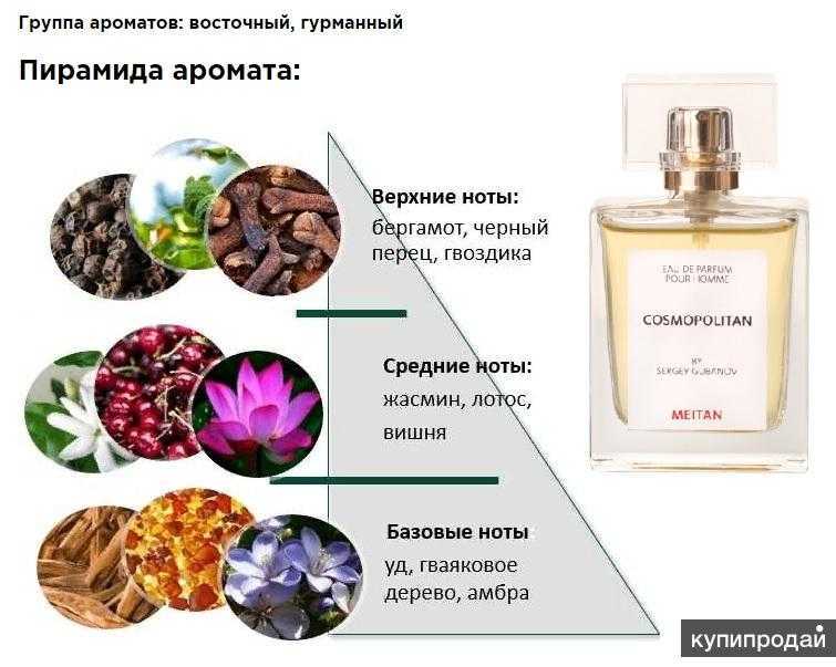 Сравнение ароматов онлайн