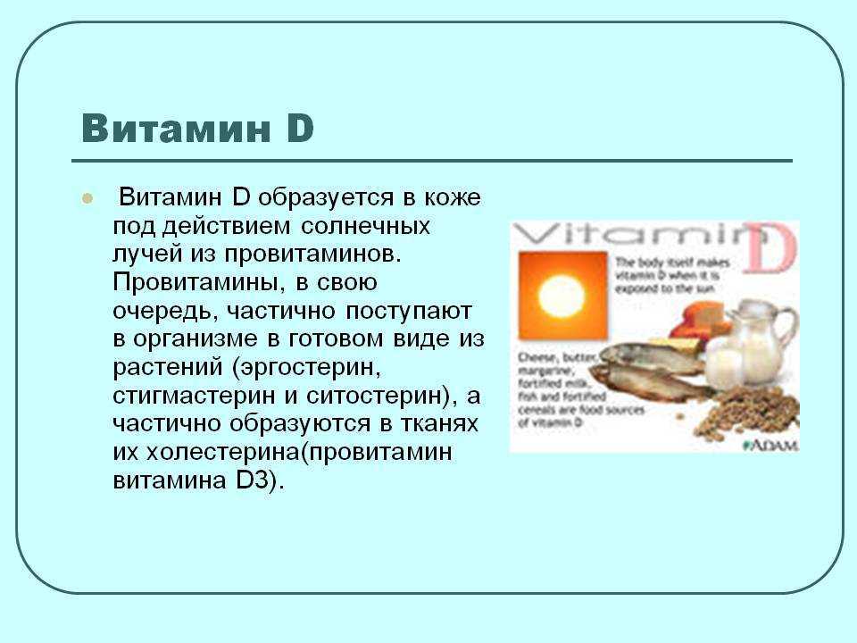 Витамин д в каких продуктах содержится?