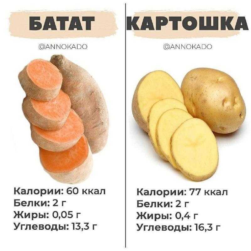 Батат: его полезные свойства в сравнении с обычным картофелем