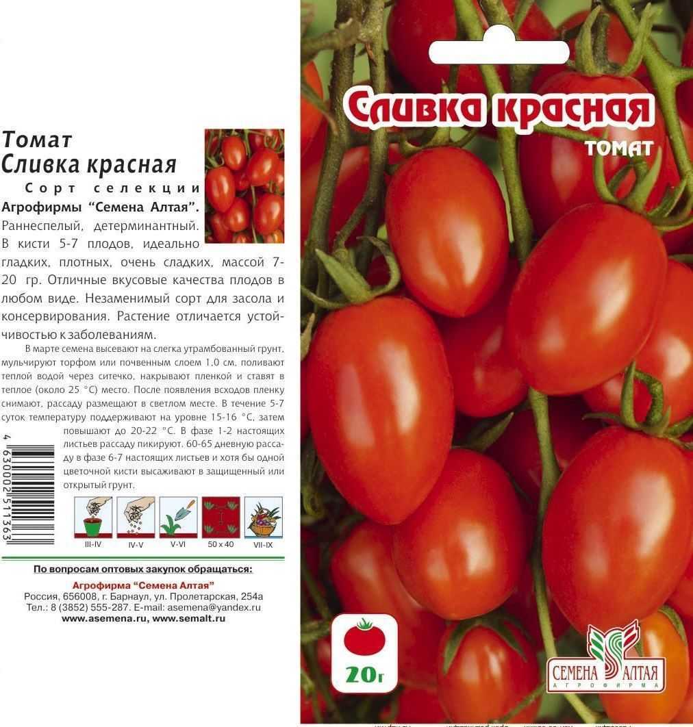 Сорта томатов и как их выбрать