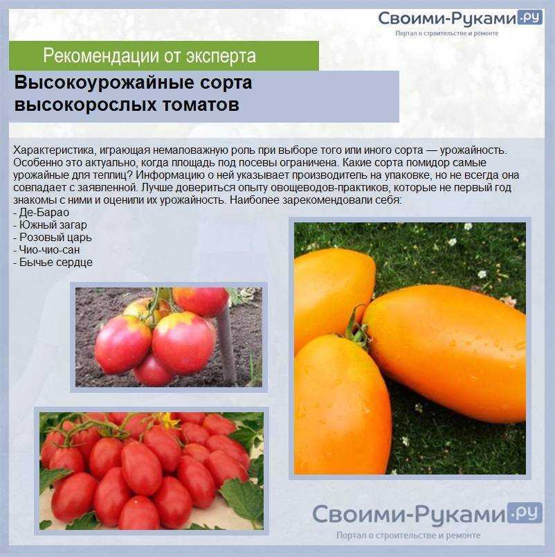 Какие семена томатов выбрать? характеристики сортов томата. фото — ботаничка