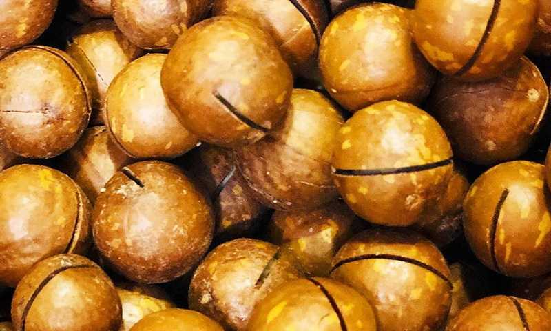 Орех макадамия: полезные свойства и противопоказания, где и как растет, вкус, применение