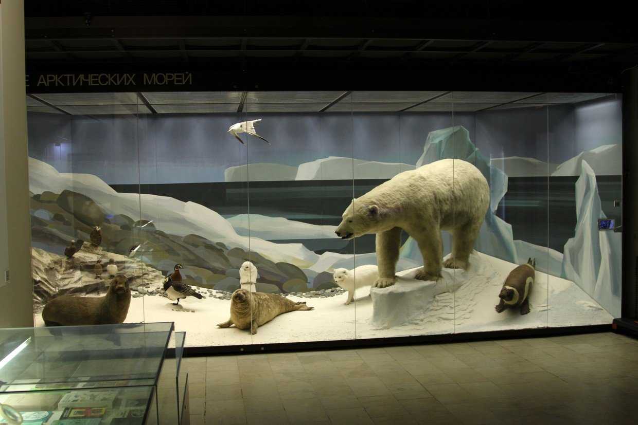 Государственный дарвиновский музей в москве