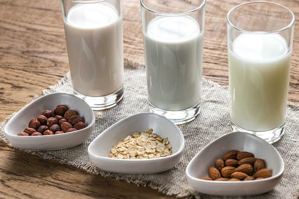Растительное молоко: как приготовить в домашних условиях