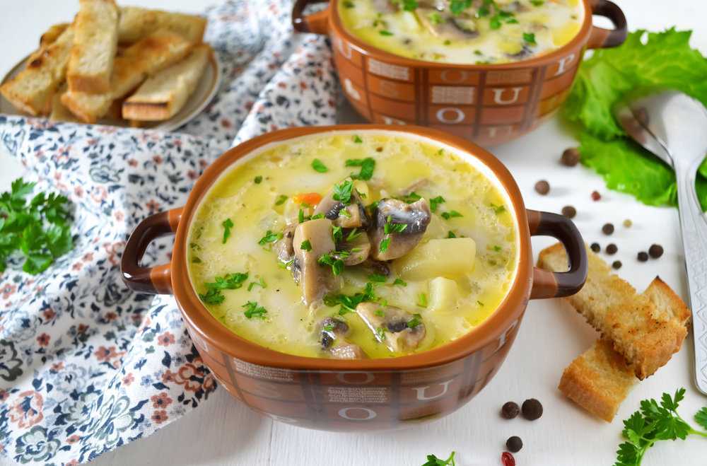 Крем-суп из брокколи: рецепты для диетического и основного питания. разнообразие рецептов крем — супа от простого до сложного из брокколи