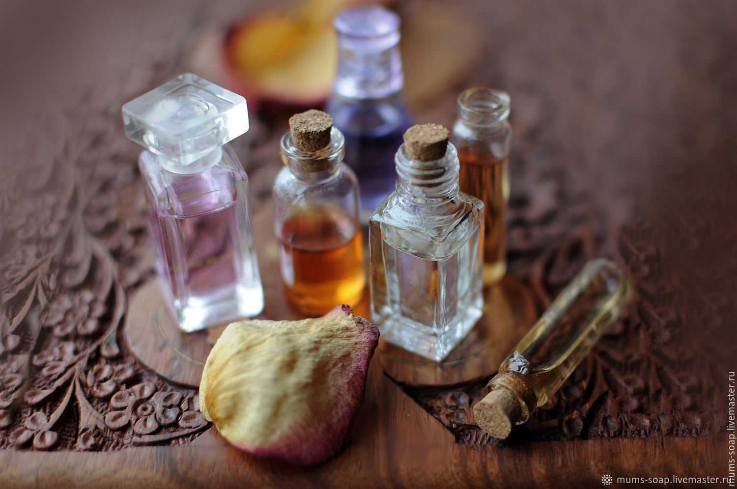 Классификация ароматов по запахам – цветочные, шипровые, древесные, цитрусовые, кожаные, амбровые, фужеры