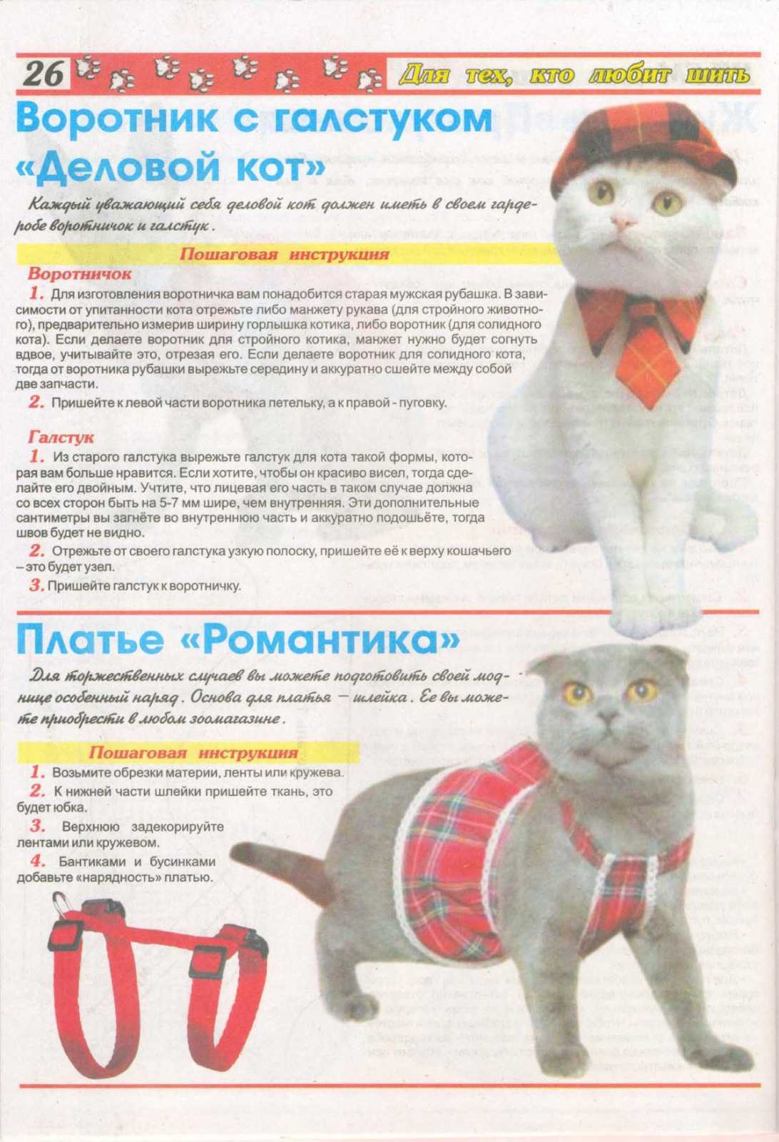 Одежда для кошек своими руками с выкройками и описанием