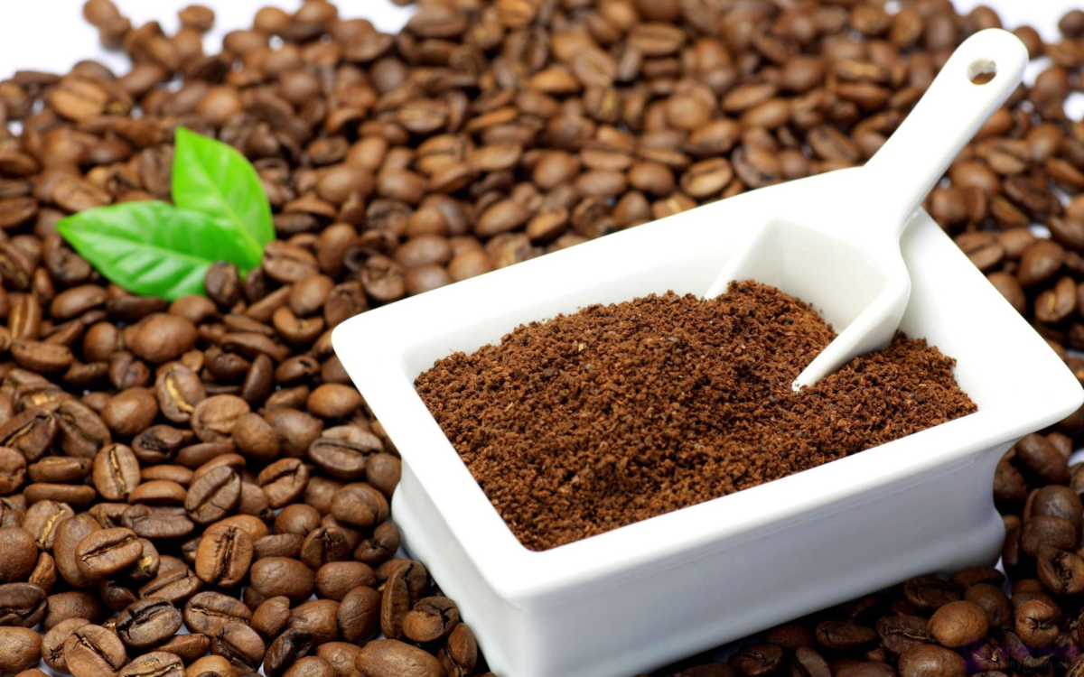 Кофе в зернах: какой лучше, как выбрать самый вкусный
