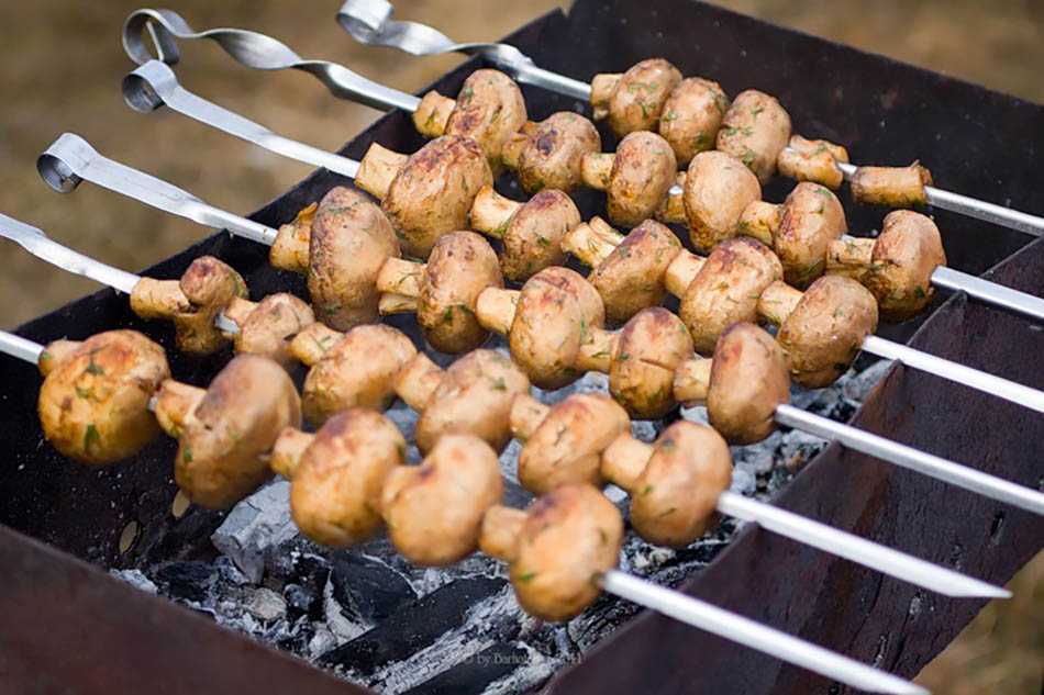 Шампиньоны на мангале: фото, рецепты приготовления маринадов для жарки грибов на пикнике
