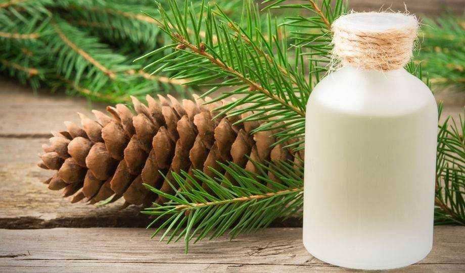 Кедровое молочко лечебные свойства и противопоказания: польза и вред, как принимать, рецепт