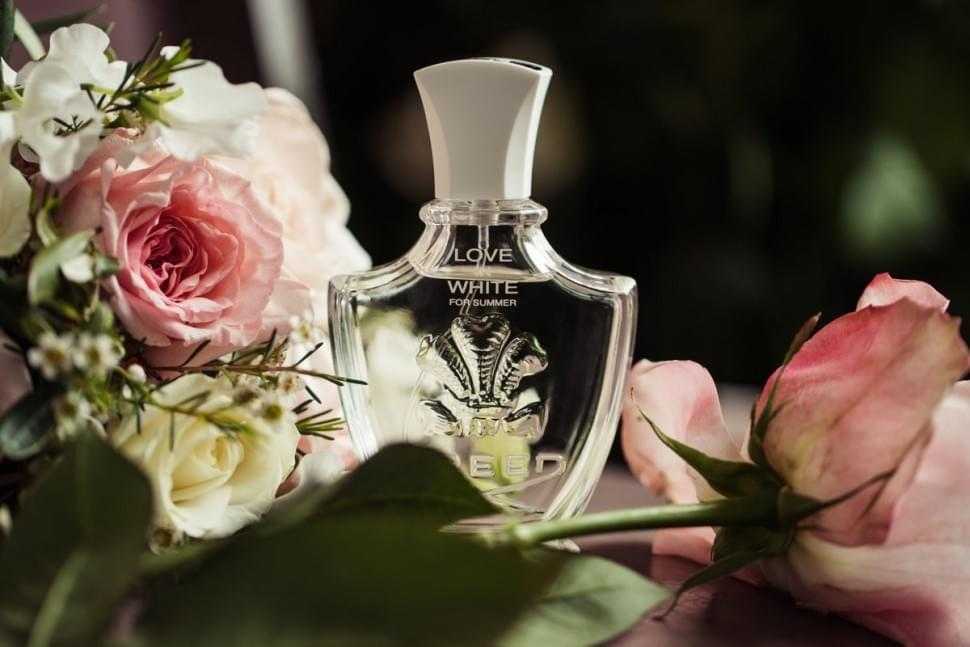 Духи кельвин кляйн женские: лучший парфюм за всю историю бренда