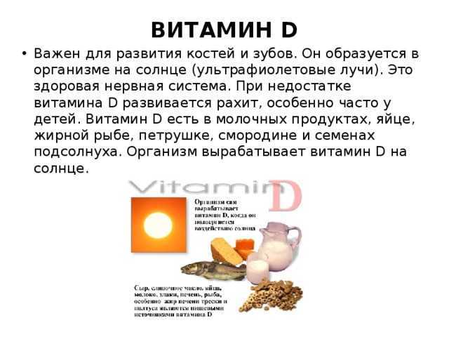 Таблица-памятка: в каких продуктах содержится много витамина д