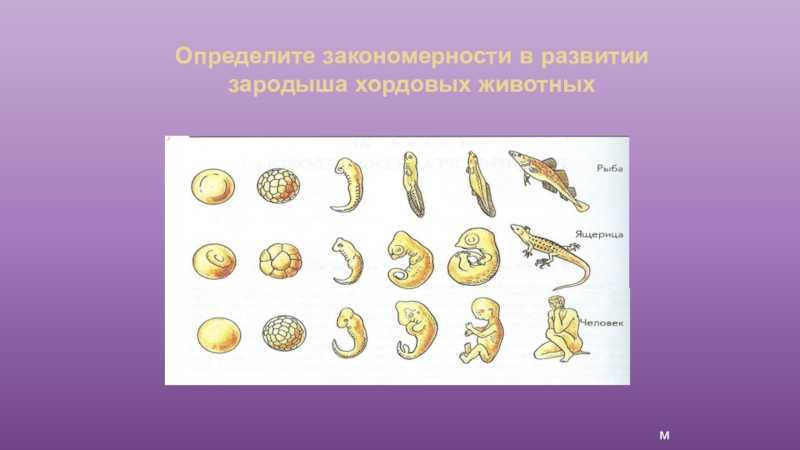 Какие бывают православные браслеты и как правильно их носить — jerusalemmarket