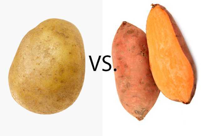 7 овощей, которые выращивают вместо картофеля и забывают о колорадском жуке