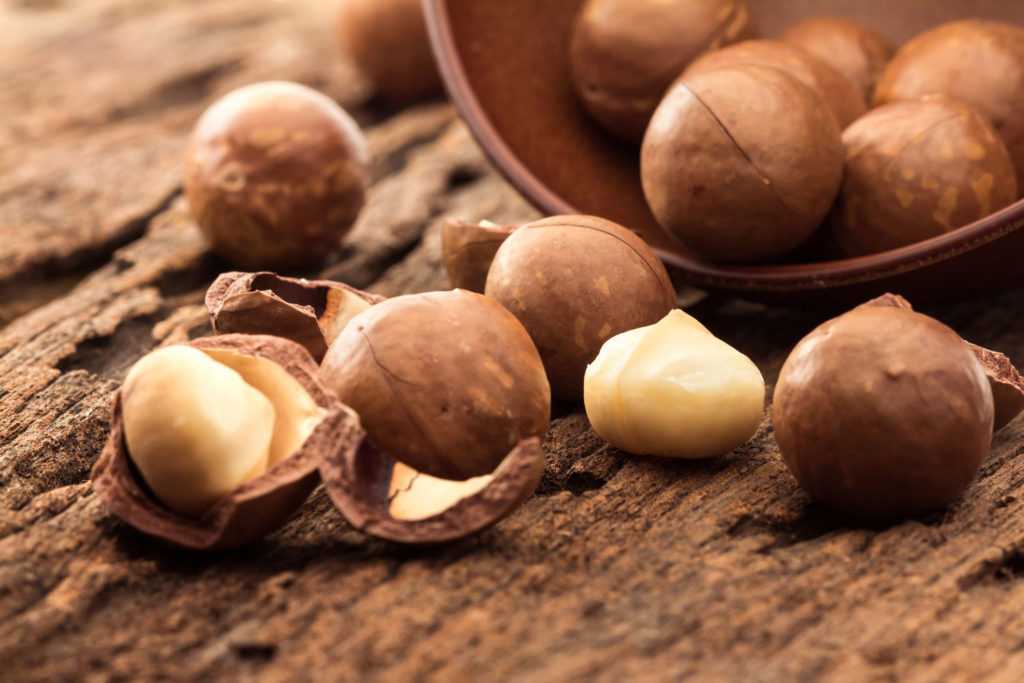 Польза ореха макадамия для организма